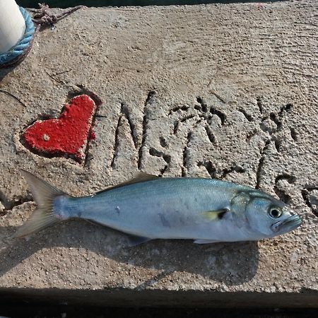 Apartment "I Love Njivice" แฮร์เซ็ก-โนวี ภายนอก รูปภาพ